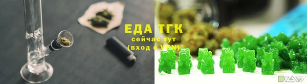 ГАЛЛЮЦИНОГЕННЫЕ ГРИБЫ Аркадак