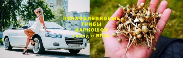 ГАЛЛЮЦИНОГЕННЫЕ ГРИБЫ Аркадак