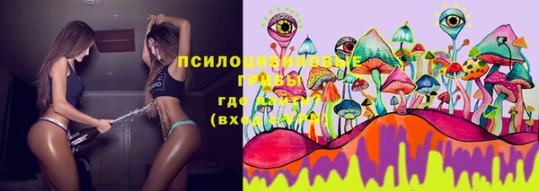 прущая мука Рославль