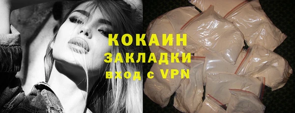 ГАЛЛЮЦИНОГЕННЫЕ ГРИБЫ Аркадак