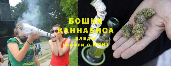 ГАЛЛЮЦИНОГЕННЫЕ ГРИБЫ Аркадак